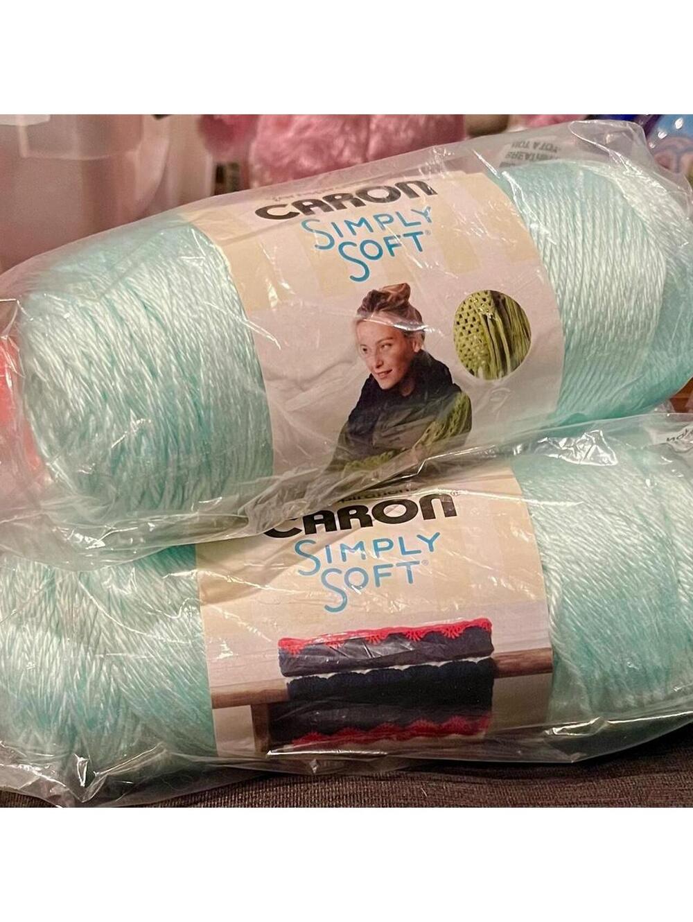 Caron Simply Soft 3pk - Soft Green Acrylic